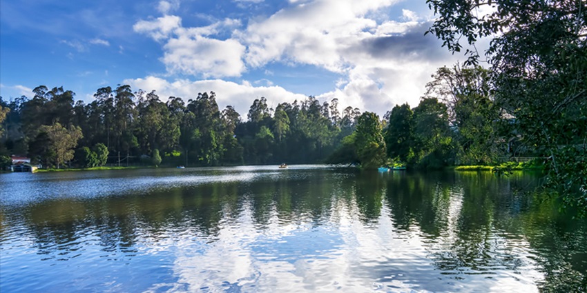Star-shaped Kodaikanal Lake reflecting misty hills and trees at dawn.