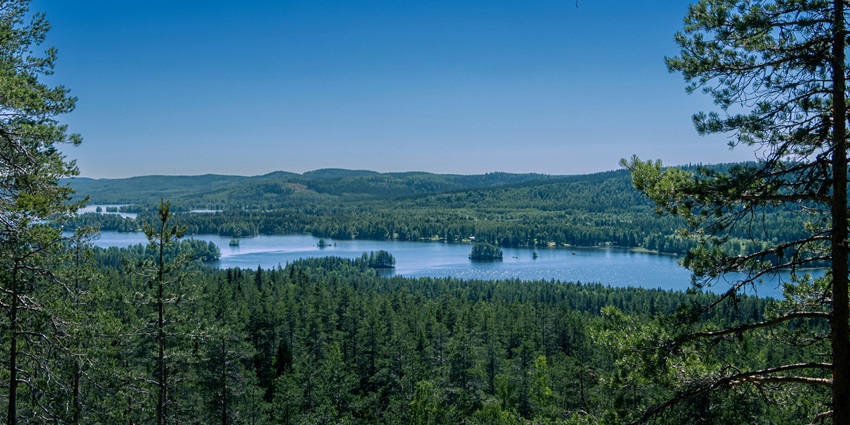 An image showcasing the stunning landscape views of Koli National Park in Finland.