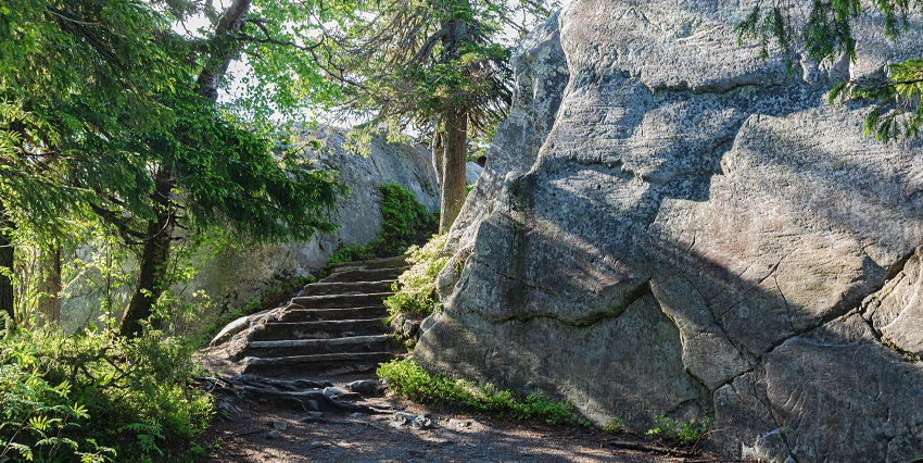 Image of the Koli National Park featuring dense forest, rolling hills and a distant lake.