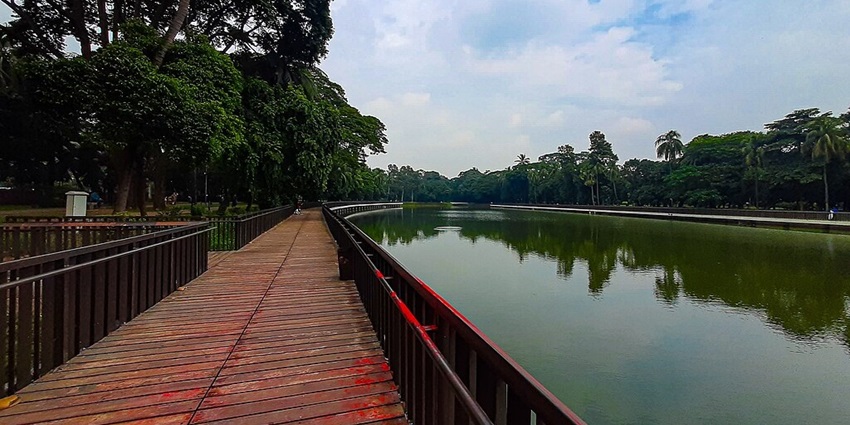 Lake with trees, walking wooden pavement and railings with red paint splashes on it