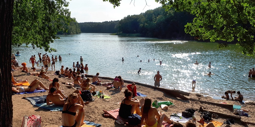 An image showing the Zehlendorf Krumme Lanke bathing area, a popular spot for relaxation