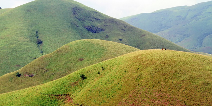 An aerial view of a lush green hill in the majestic Western Ghats of South India