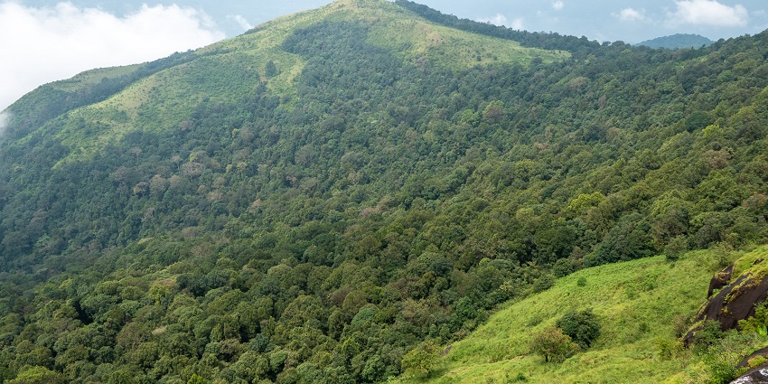 An image of Kudremukh National Park, one of the places for trekking in Western Ghats