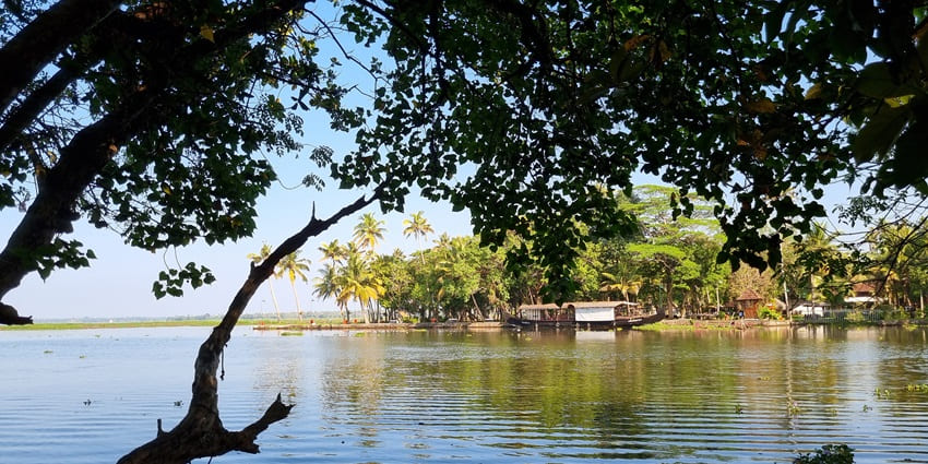 An image of the Kumarakom Bird Sanctuary, one of the best wildlife sanctuaries in South India.