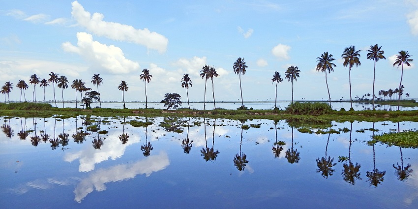 The picture of one of the lakes located in Kumarakom has a beautiful scenic view.