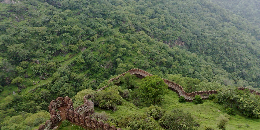 Kumbhalgarh Wildlife Sanctuary Safari explores diverse wildlife and stunning landscapes.