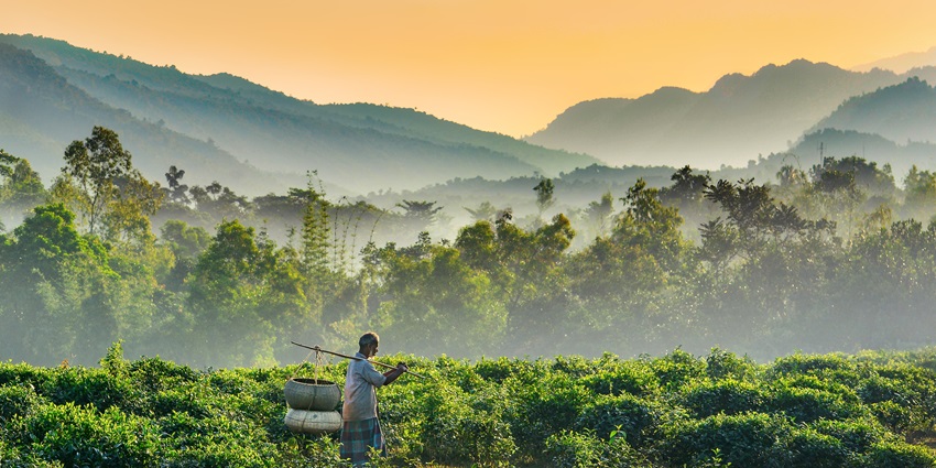 The picture of the Bathi Gudda (hill) was taken from the village of Davanagere, Karnataka.