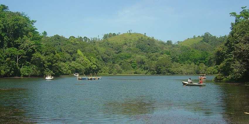A tranquil river flowing through a serene retreat, perfect for nature lovers.