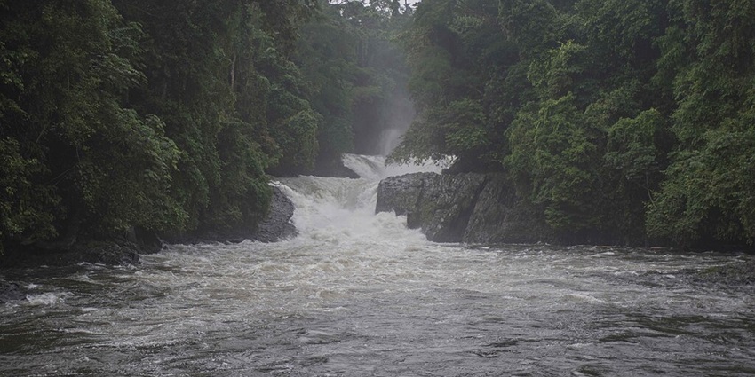 Picturesque waterfall in Nigeria, flowing through dense forests and creating a tranquil natural escape.