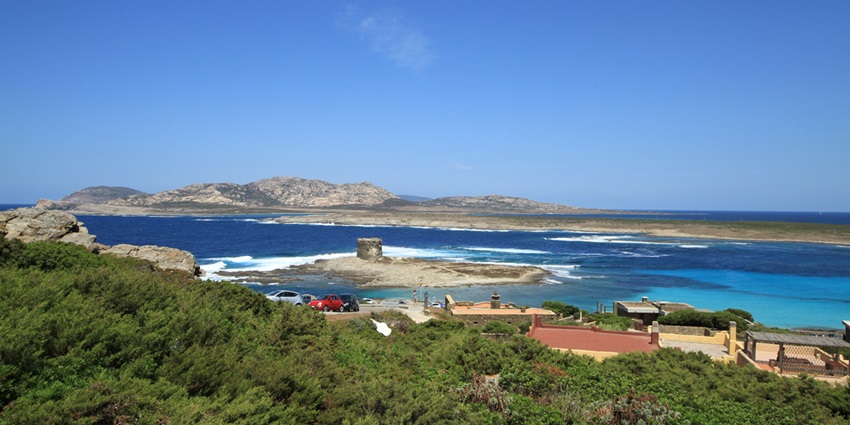 Clear waters and white sands of La Pelosa Beach with greenery