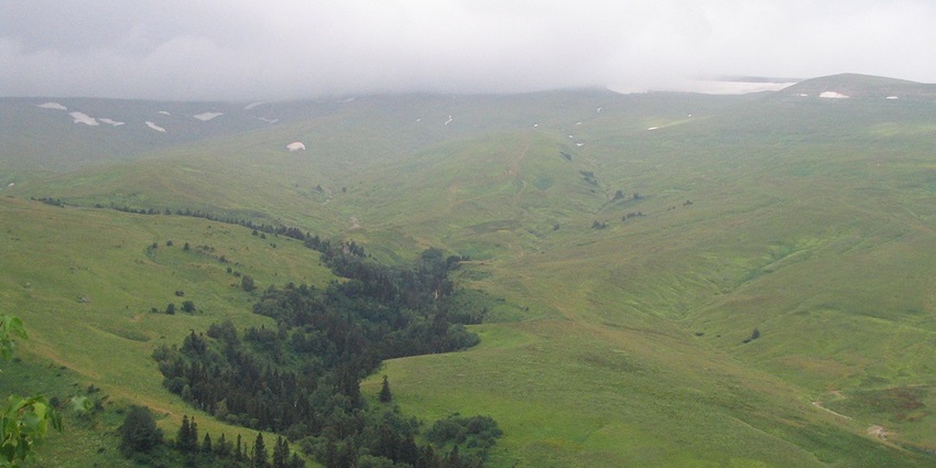 A breathtaking landscape of rolling green hills with patches of forest under a cloudy sky
