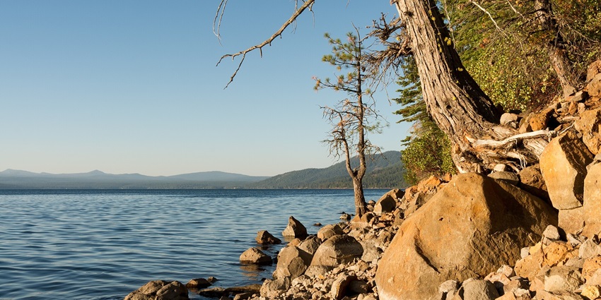 Vista Point on the east rocky shore of Lake Almanor with tree branches with no leaves