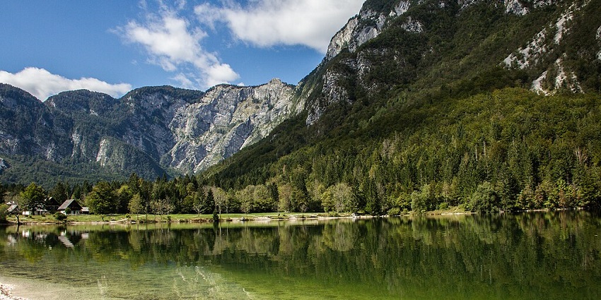 Lake Bohinj at the Triglav National Park, surrounded by thick green trees and mountains.