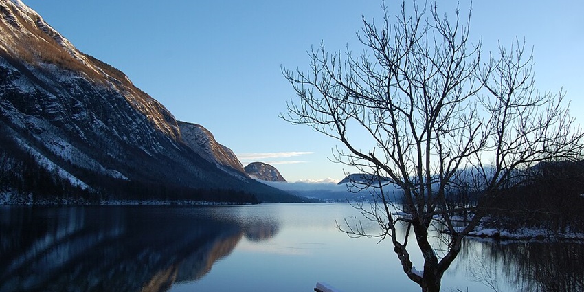 An image of Lake Bohinj, Slovenia, reflecting the surrounding mountains and lush greenery.
