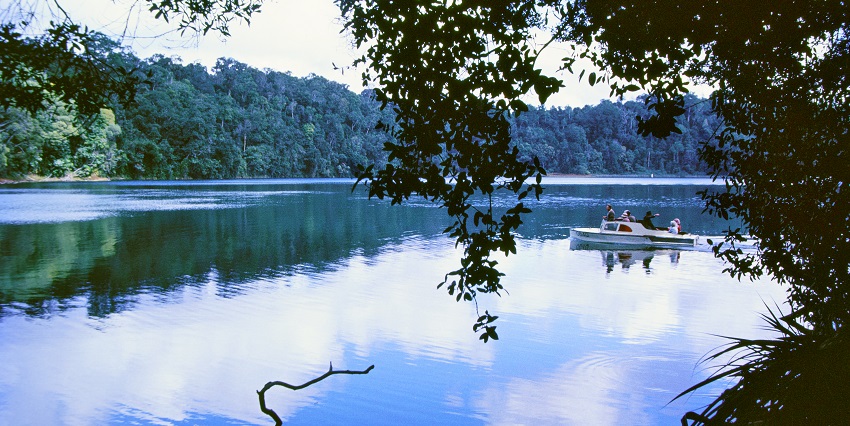 An image of Lake Eacham, volcanic crater lakes in Australia, surrounded by lush greenery