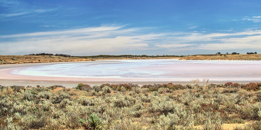 An image of Lake Gairdner in Australia, a vast salt lake with bluebush and arid landscapes