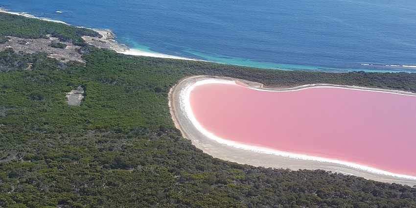 A picture of Lake Hillier, a unique pink lake in Australia, showcasing the beauty of lakes in Australia