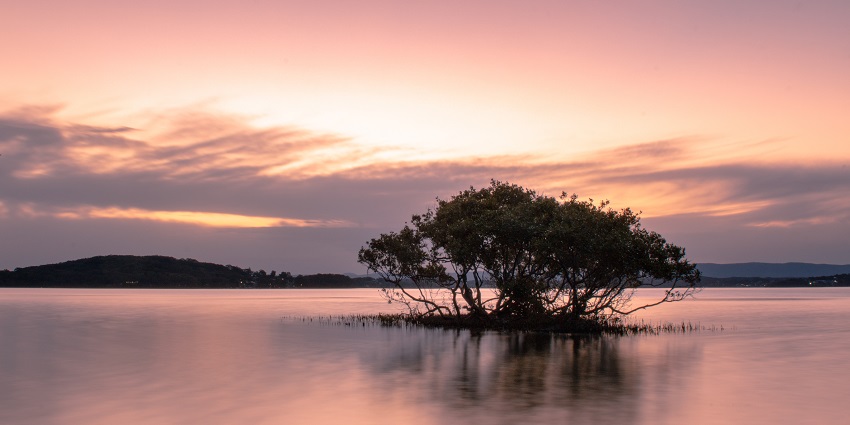 An image of Lake Macquarie, one of the largest lakes in Australia, with scenic blue waters