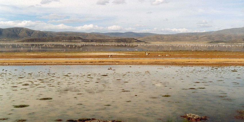 An image of an island-like hill in the middle of a lake, making it a unique landscape.