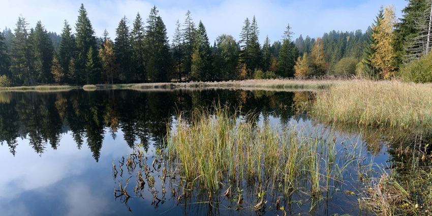 Lake Shara-Nur, a gorgeous lake is known for its therapeutic mud and mineral-rich waters.