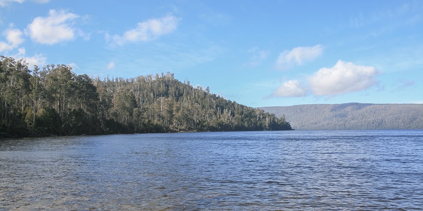 An image of Lake St Clair, a stunning glacial lake in Australia, surrounded by wild nature