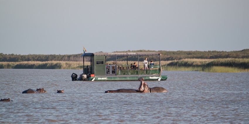 Tour group on board boat to view hippos with sharp teeth on recreational tour of St Lucia, South Africa