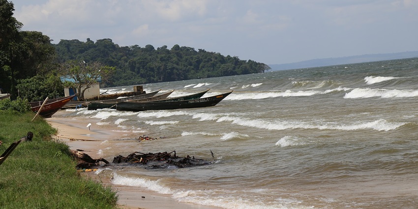 An image view of Lake Victoria at Ssese Islands with calm waters, greenery, and a serene shoreline