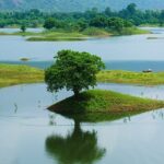 An image view of a serene lake in Andhra Pradesh surrounded by lush greenery and mountains