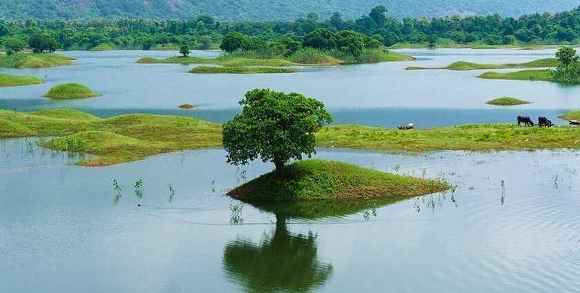 An image view of a serene lake in Andhra Pradesh surrounded by lush greenery and mountains