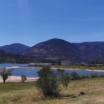 An image of scenic lakes in Australia, surrounded by lush forest trees in a tranquil setting