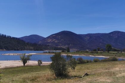 An image of scenic lakes in Australia, surrounded by lush forest trees in a tranquil setting