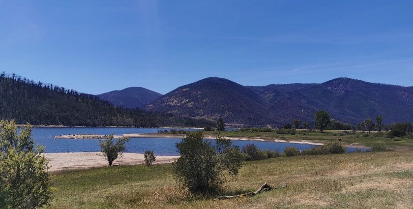 An image of scenic lakes in Australia, surrounded by lush forest trees in a tranquil setting