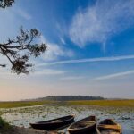 An image view of Kanwar Lake in Bihar with vast wetlands and migratory birds.