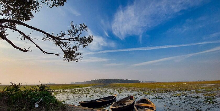 An image view of Kanwar Lake in Bihar with vast wetlands and migratory birds.