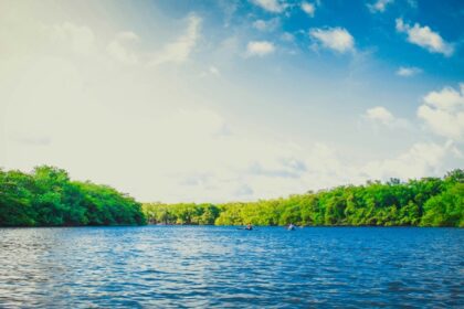 A view of one of the lakes in Chennai with the city view in the background