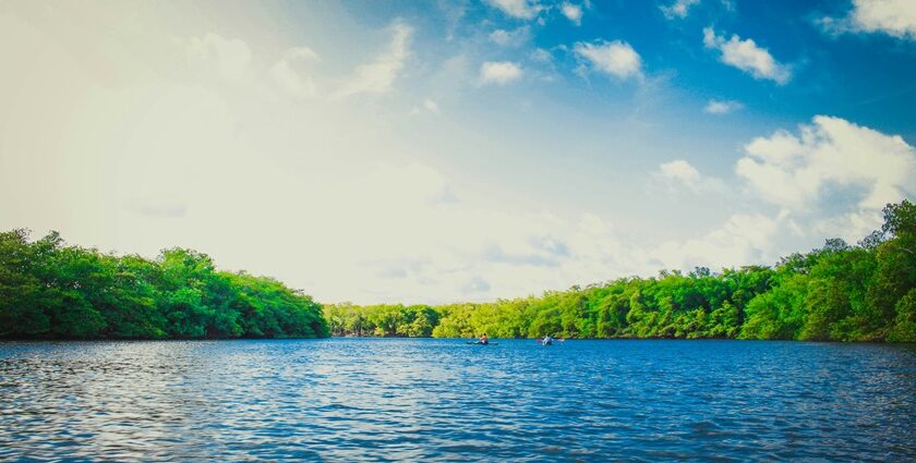 A view of one of the lakes in Chennai with the city view in the background