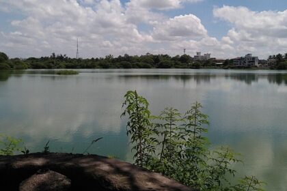 A peaceful view of one of the major lakes in Delhi, surrounded by lush greenery and offering boating options.