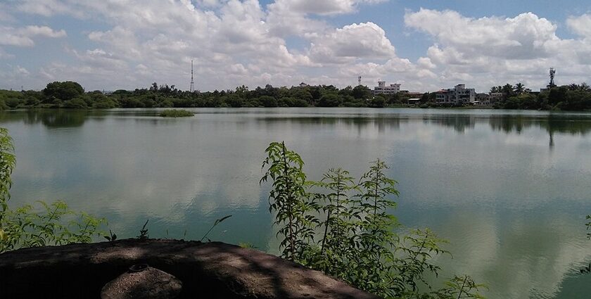 A peaceful view of one of the major lakes in Delhi, surrounded by lush greenery and offering boating options.