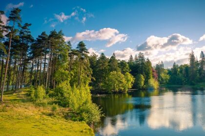 Lake with a still water body, green shorelines and green mountains in the landscape