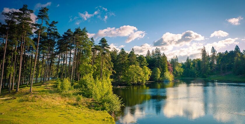 Lake with a still water body, green shorelines and green mountains in the landscape