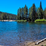 An image of Lake Alpine in California, USA, surrounded by lush forests and mountain scenery.