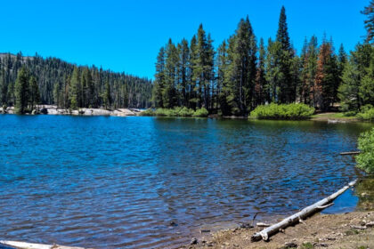 An image of Lake Alpine in California, USA, surrounded by lush forests and mountain scenery.