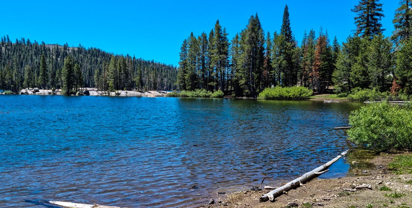 An image of Lake Alpine in California, USA, surrounded by lush forests and mountain scenery.