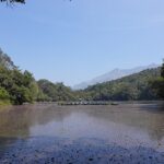 Picturesque view of one of the lakes in Wayanad with trees surrounding the lake.