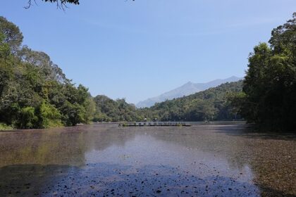 Picturesque view of one of the lakes in Wayanad with trees surrounding the lake.