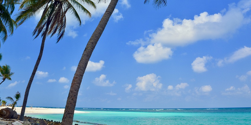 An image showing Agatti Islands in Lakshadweep, known for its clear waters and sandy shores.