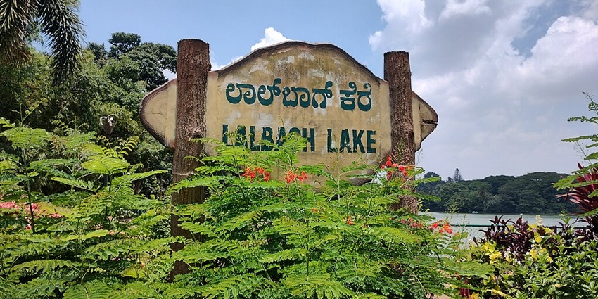 A peaceful lake extends through colourful plants & ancient trees while attracting visitors who seek peace.