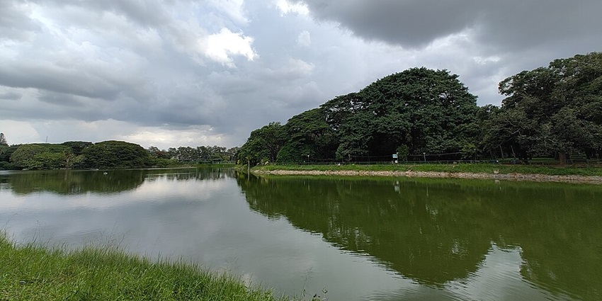 Lalbagh Lake with greenish water body, fencing around the lake and green grass around.