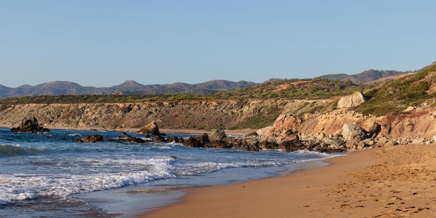 Lara Beach is a part of the Akamas National Park, which has great flora and fauna.