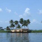 Houseboats floating on Vembanad Lake, the largest lake in India, surrounded by coconut trees